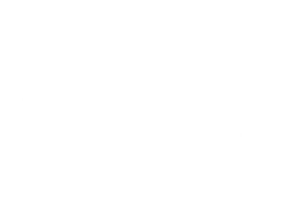 Image for Big Seaweed Search