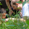 image for Guide to Citizen Science - developing, implementing and evaluating citizen science to study biodiversity and the environment in the UK
