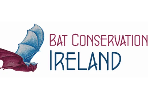 Image for Car-based Bat Monitoring