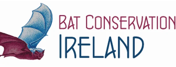 Image for Car-based Bat Monitoring
