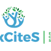 Project icon