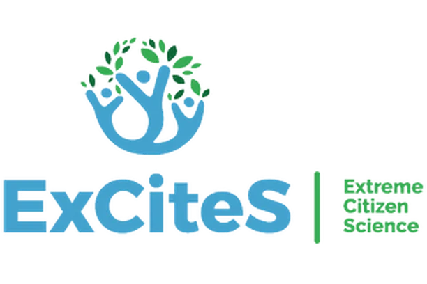 Image for ECSAnVis