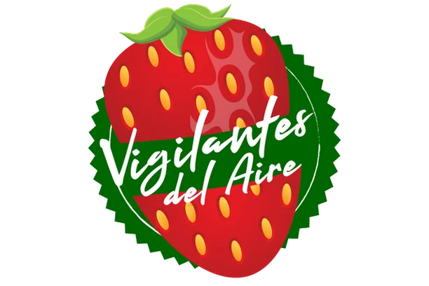 Image for Vigilantes del aire