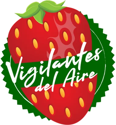 Image for Vigilantes del aire