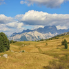 image for Citizen Science Network Austria Arbeitsgruppe für Offene Biodiversitätsdatenbanken in Citizen Science Projekten: Fragenkatalog für Projektleiter*innen