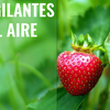 image for Vigilantes del aire