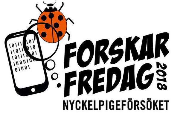 image for The Ladybird Experiment - Nyckelpigeförsöket