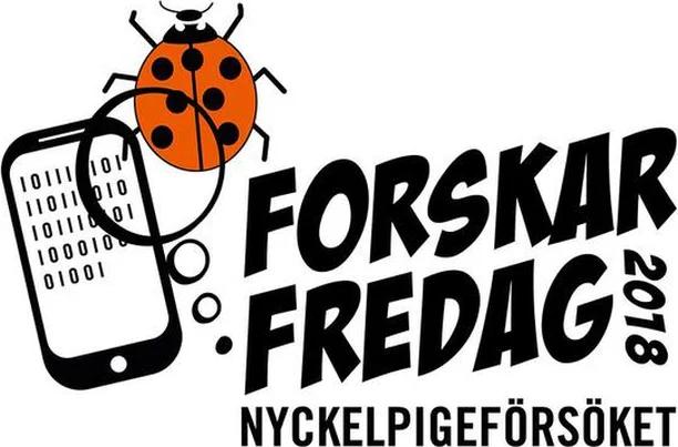 Image for The Ladybird Experiment - Nyckelpigeförsöket