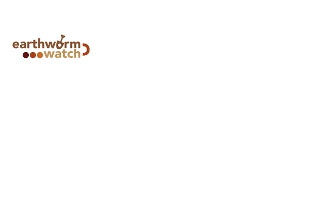 Image for Earthworm Watch