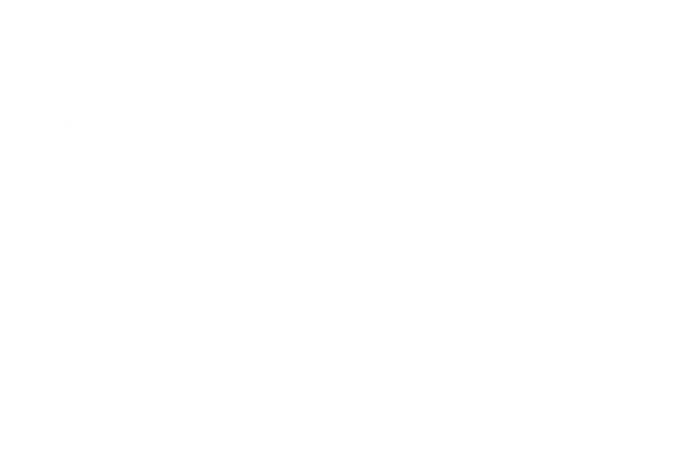 Image for LandSense