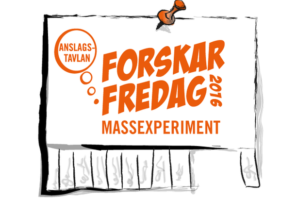 image for The Notice Board - Anslagstavlan