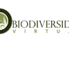 Project icon