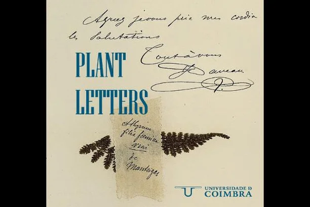 Image for Plant Letters