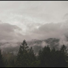 image for A manual for citizen scientists starting or participating in data collection and enviromental monitoring projects