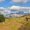 image for Citizen Science Network Austria Working Group on Open Biodiversity Databases in Citizen Science Projects: Catalogue of Questions for Project Managers