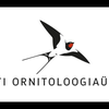 image for First steps to bird-watching