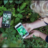 image for Communication in Citizen Science: A practical guide to communication and engagement in citizen science