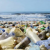 image for Making citizen science count: Best practices and challenges of citizen science projects on plastics in aquatic environments