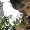 image for Citizen science and global biodiversity