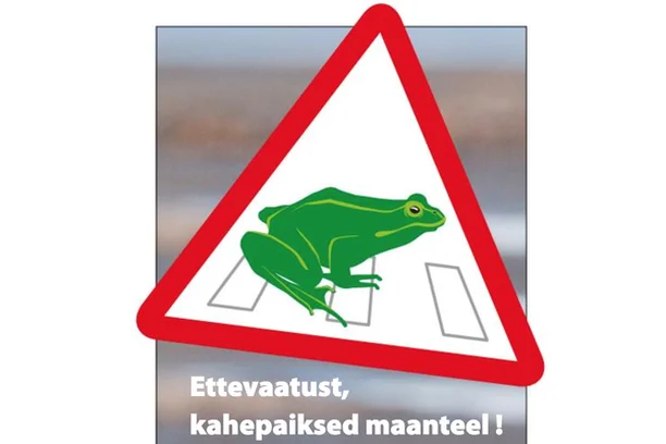 Image for Frogs on the road