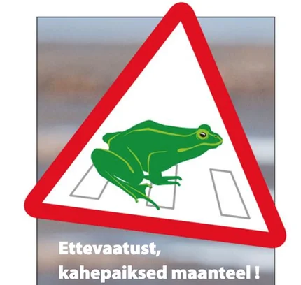 Image for Frogs on the road