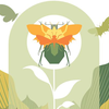 image for Bioblitz in Leopold Park (Brussels) - May 25 2019 - REPORT