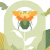 image for Bioblitz in Leopold Park (Brussels) - May 25 2019 - REPORT