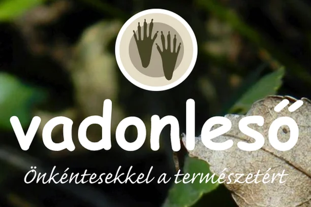 Image for Vadonleső (The WildWatcher) 
