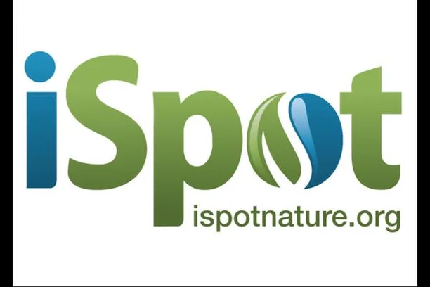 Image for iSpot