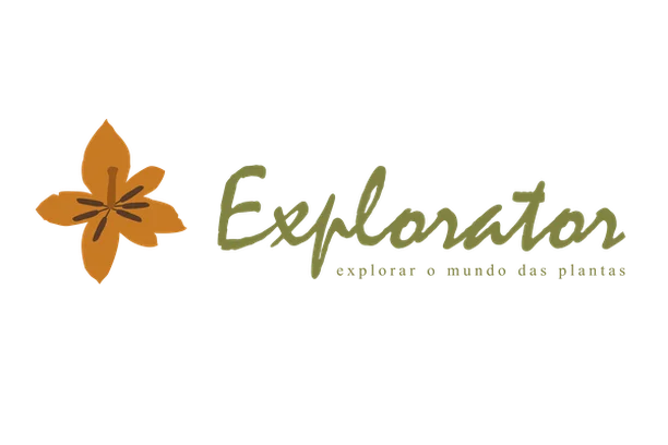 Image for Explorator