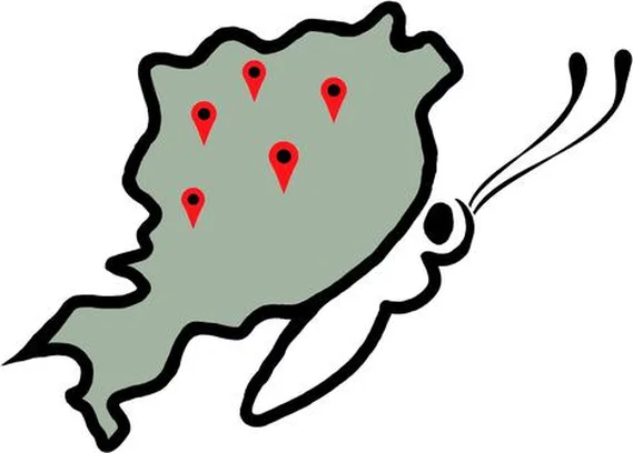 Image for Butterfly-net (Lepke-háló)
