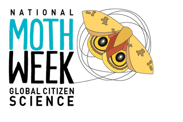 image for National Moth Week