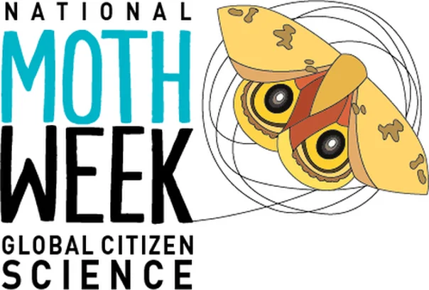 Image for National Moth Week