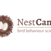 Project icon