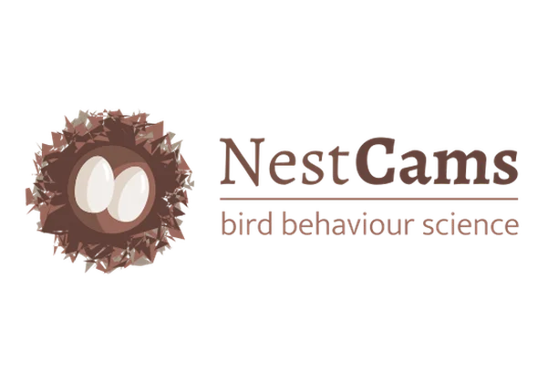 Image for NestCams: Watch birds on their nests and help us find out more about their breeding behaviour!