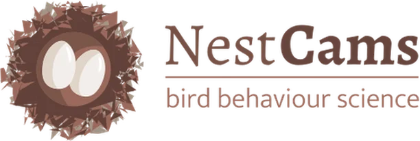 Image for NestCams: Watch birds on their nests and help us find out more about their breeding behaviour!