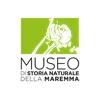 image for Maremma Natural History Museum