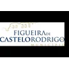 image for Municipality of Figueira de Castelo Rodrigo, Portugal