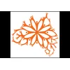 image for Australian Citizen Science Association