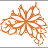 image for Australian Citizen Science Association