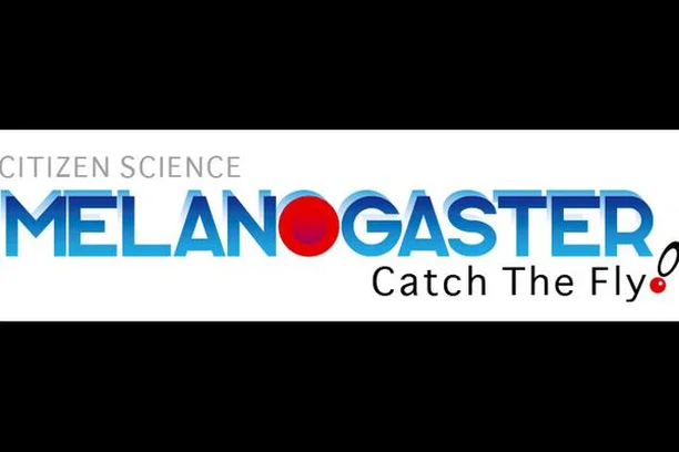 Image for Melanogaster: Catch the Fly!