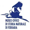 Project icon