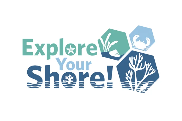 Image for Explore Your Shore!
