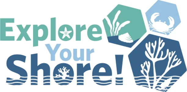 Image for Explore Your Shore!