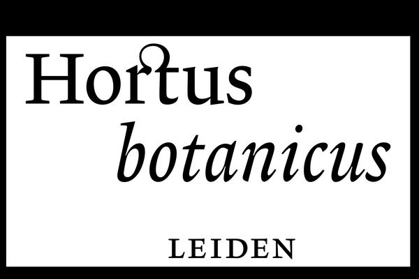 Organisation logo 