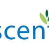 Project icon
