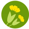 Project icon