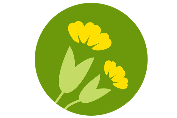 image for Looking for Cowslips