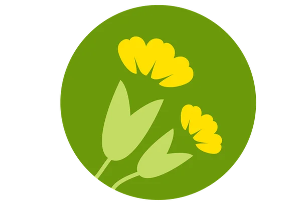 Image for Looking for Cowslips