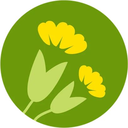 Image for Looking for Cowslips